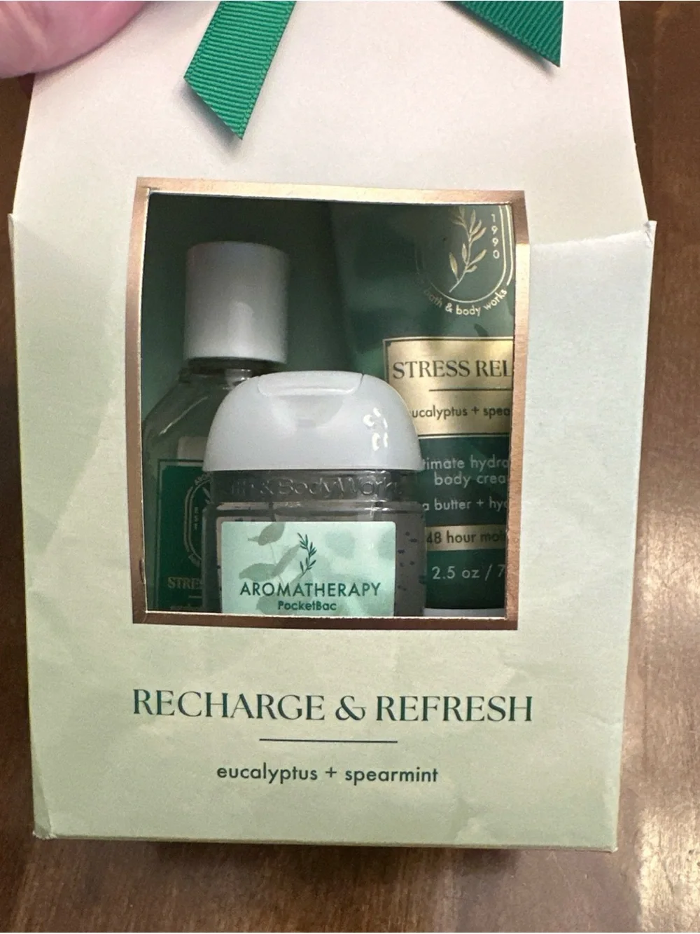 Bath & Body Works Aromatherapy EUCALYPTUS SPEARMINT Travel Mini Gift Set 3pc